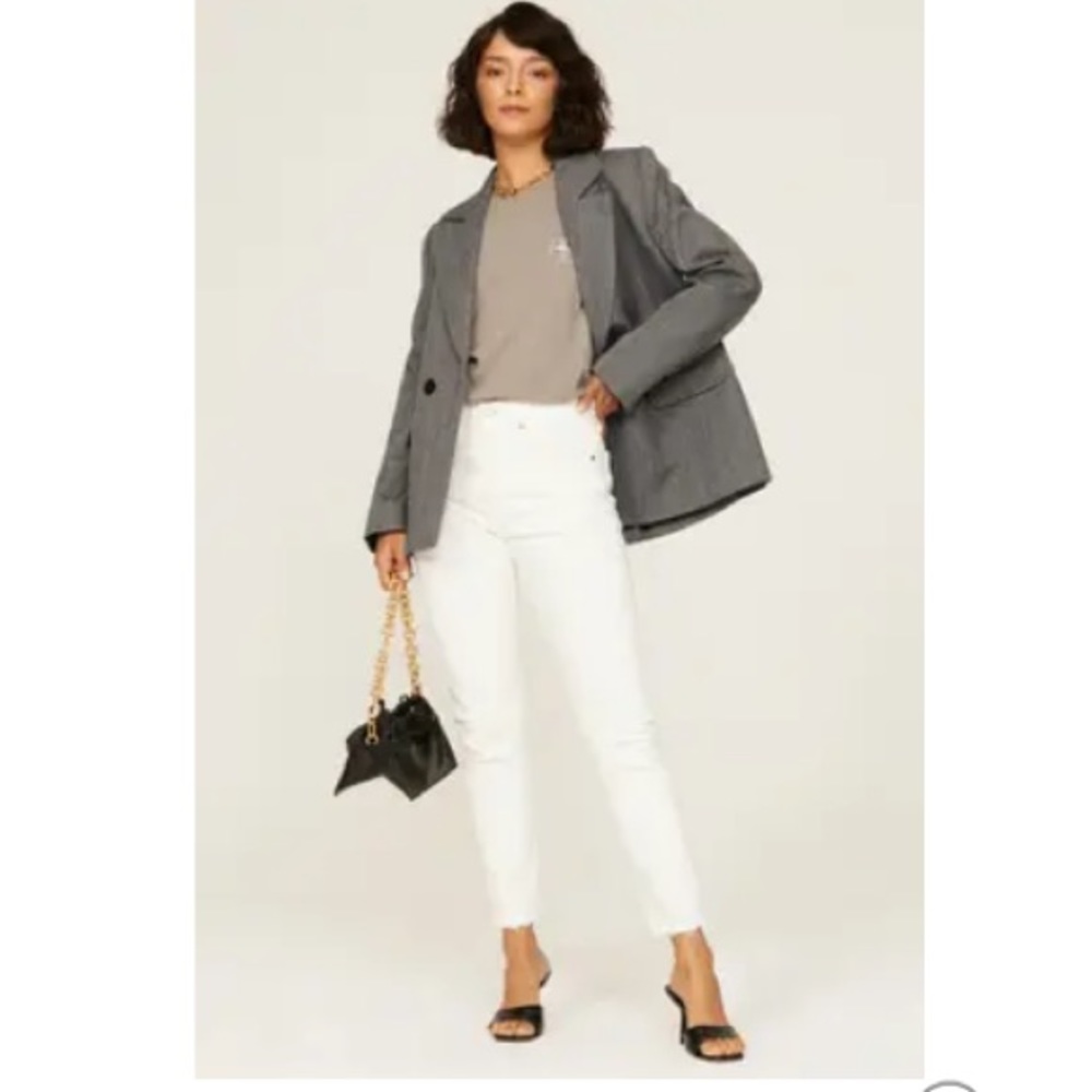 Anine Bing Gray Pinstripe Oversized Blazer